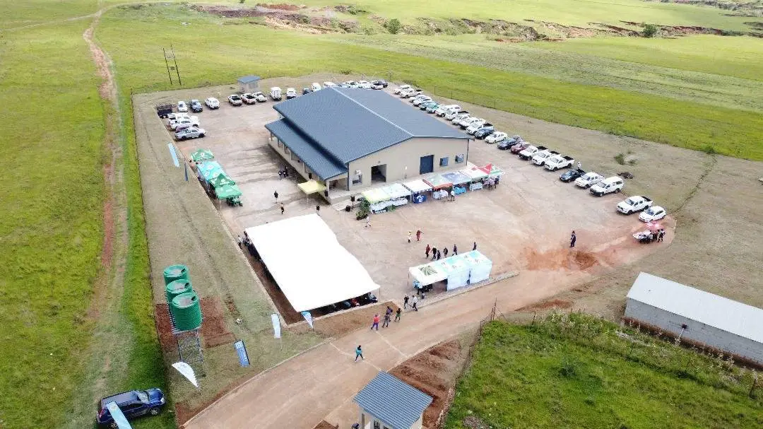 WhatsApp Image 2025-02-13 at 08.36.40 WhatsApp Image 2025-02-13 at 08.36.40