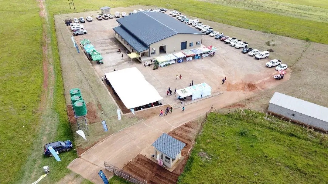 WhatsApp Image 2025-02-13 at 08.36.41 WhatsApp Image 2025-02-13 at 08.36.41