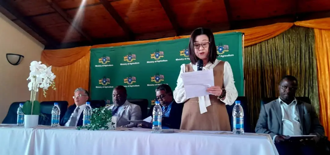 WhatsApp Image 2025-07-04 at 11.05.42-2 WhatsApp Image 2025-07-04 at 11.05.42-2