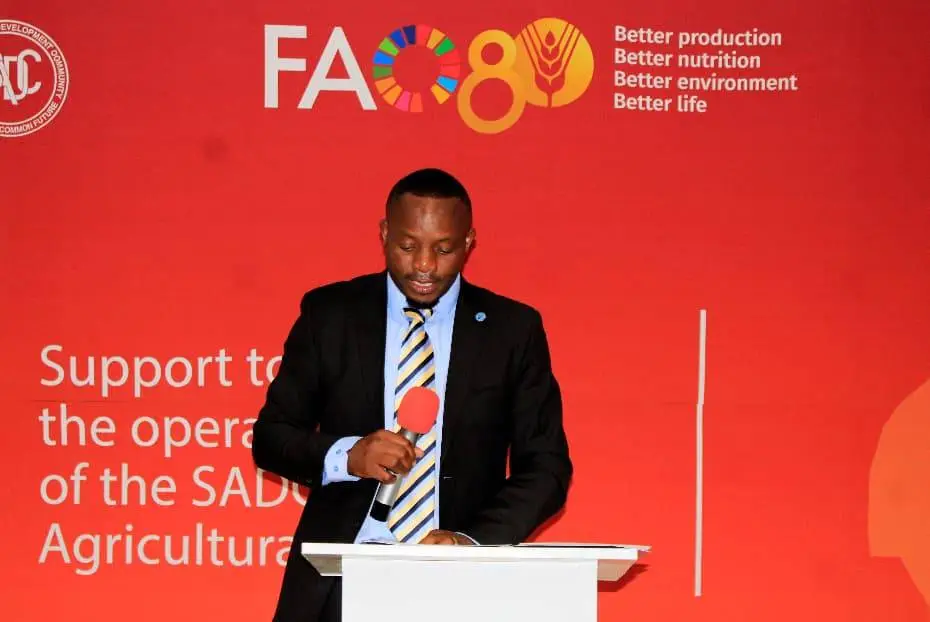 WhatsApp Image 2025-10-08 at 11.14.35 (1)