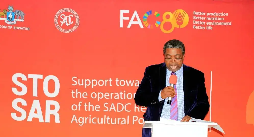 WhatsApp Image 2025-10-08 at 11.14.39 (1)