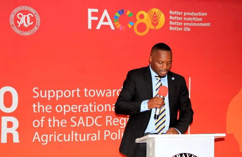 WhatsApp Image 2025-10-08 at 11.14.39