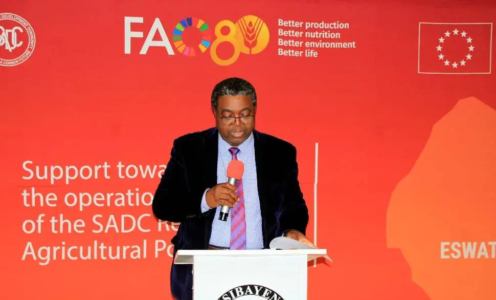 WhatsApp Image 2025-10-08 at 11.14.40