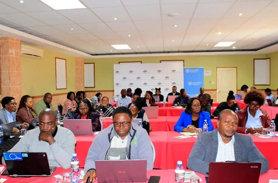 WhatsApp Image 2025-10-08 at 11.14.41