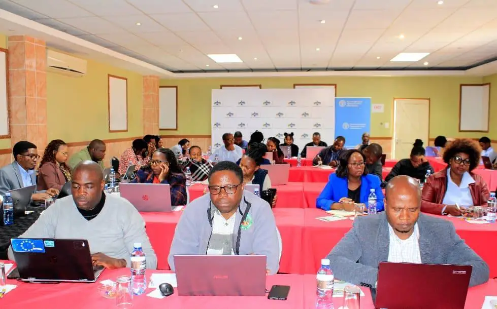 WhatsApp Image 2025-10-08 at 11.14.42