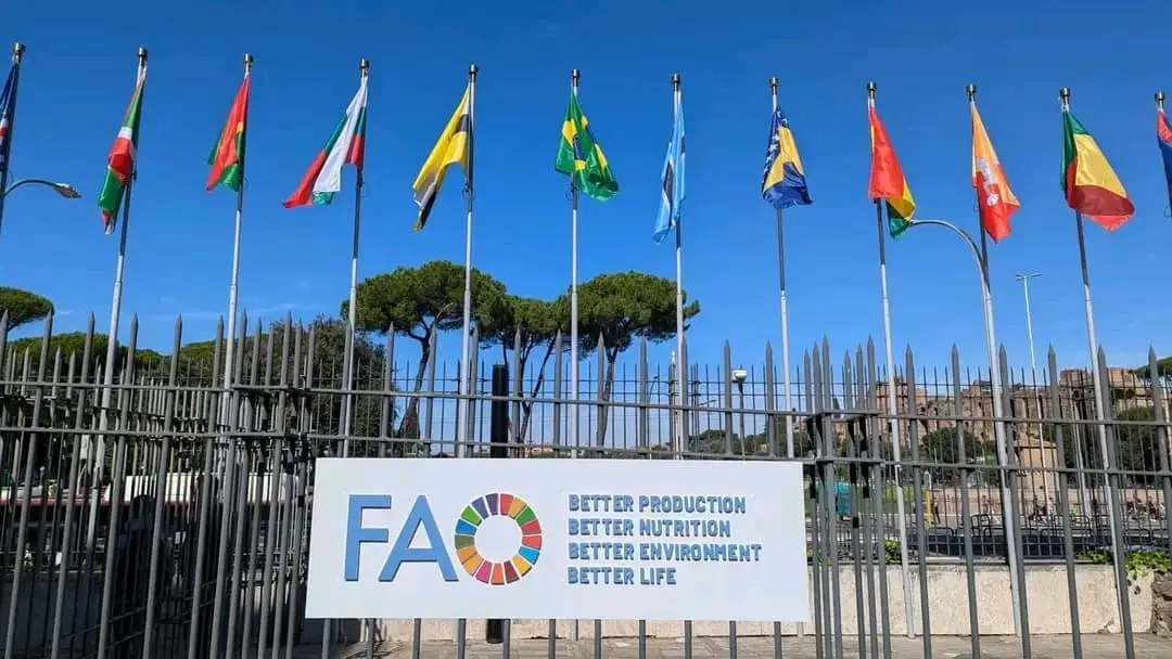 WhatsApp Image 2025-10-14 at 09.32.04 WhatsApp Image 2025-10-14 at 09.32.04