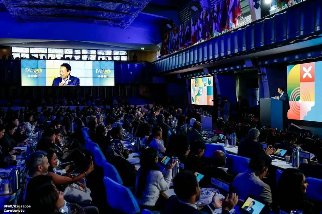 WhatsApp Image 2025-10-14 at 09.32.05 WhatsApp Image 2025-10-14 at 09.32.05