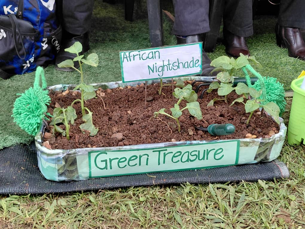 WhatsApp Image 2025-10-18 at 08.54.54 WhatsApp Image 2025-10-18 at 08.54.54