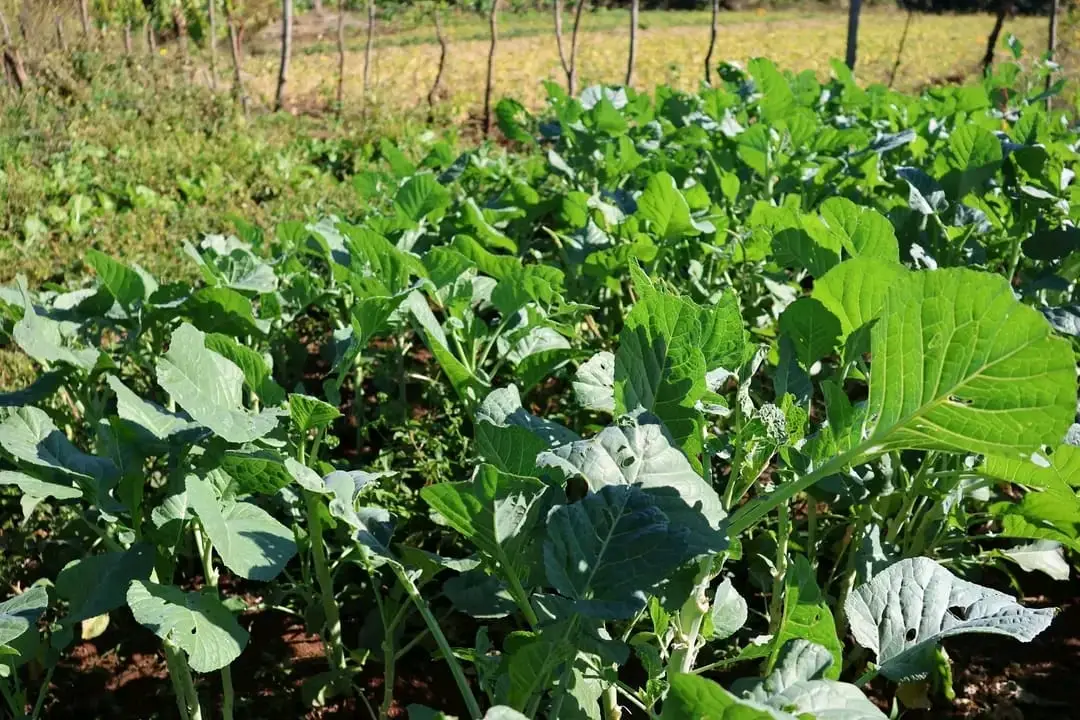 WhatsApp Image 2025-10-18 at 08.54.57 WhatsApp Image 2025-10-18 at 08.54.57