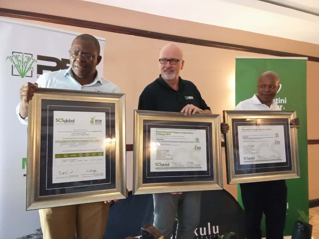 WhatsApp Image 2025-10-23 at 15.16.58 (1)