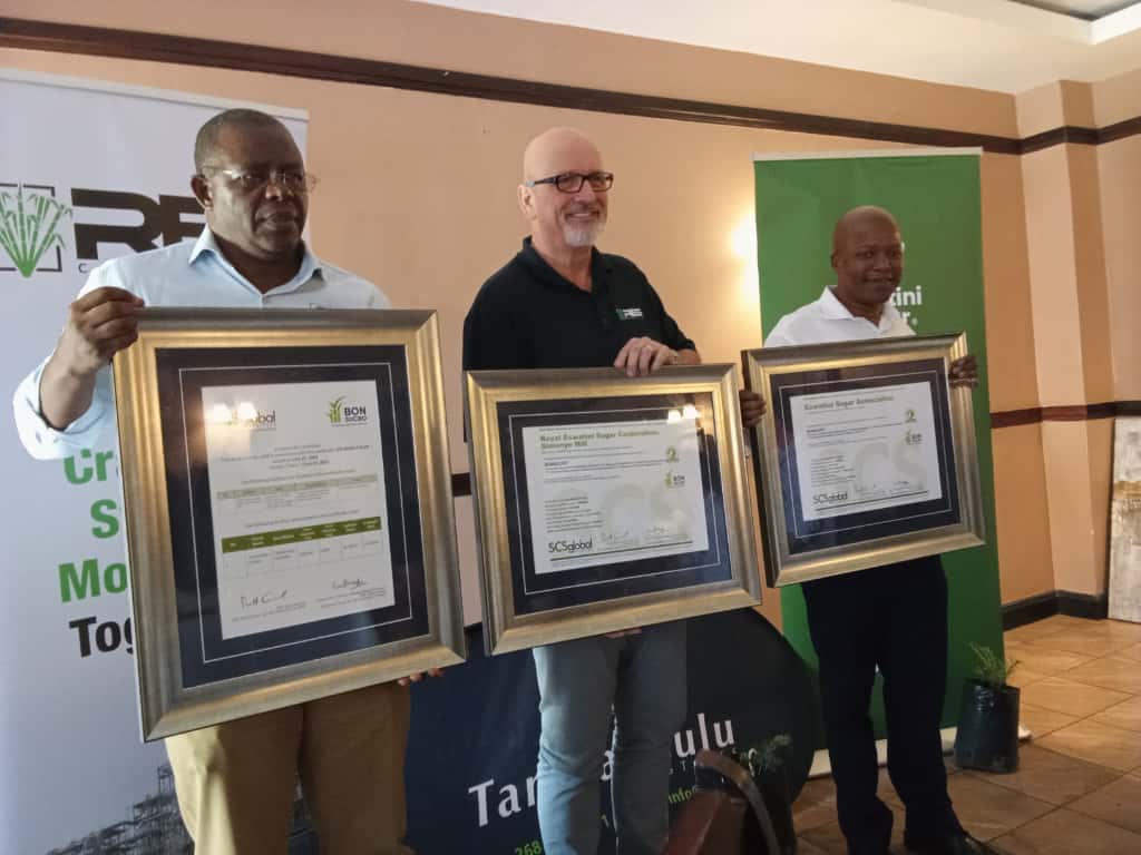 WhatsApp Image 2025-10-23 at 15.16.58