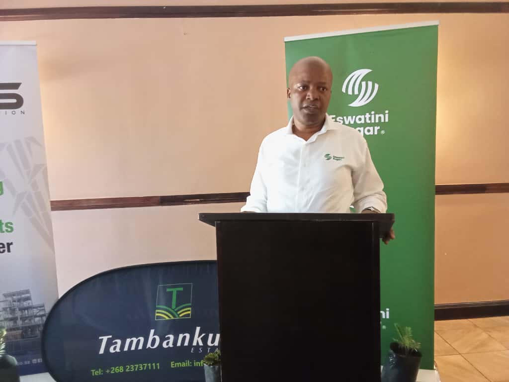 WhatsApp Image 2025-10-23 at 15.17.05