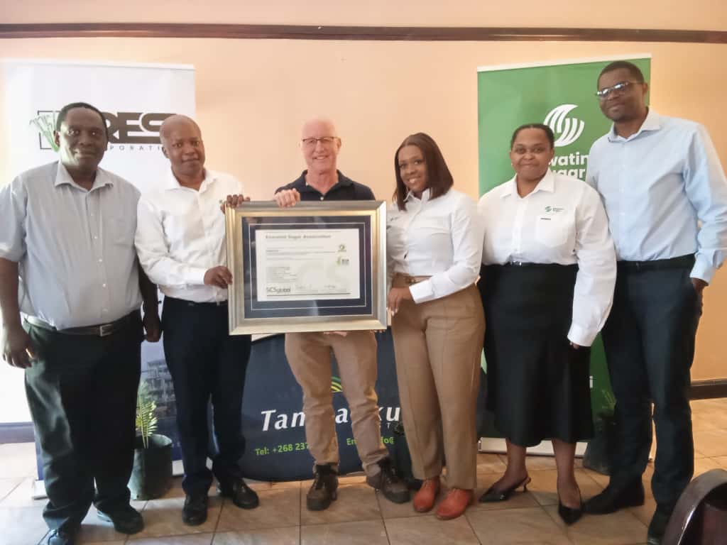 WhatsApp Image 2025-10-23 at 15.17.08