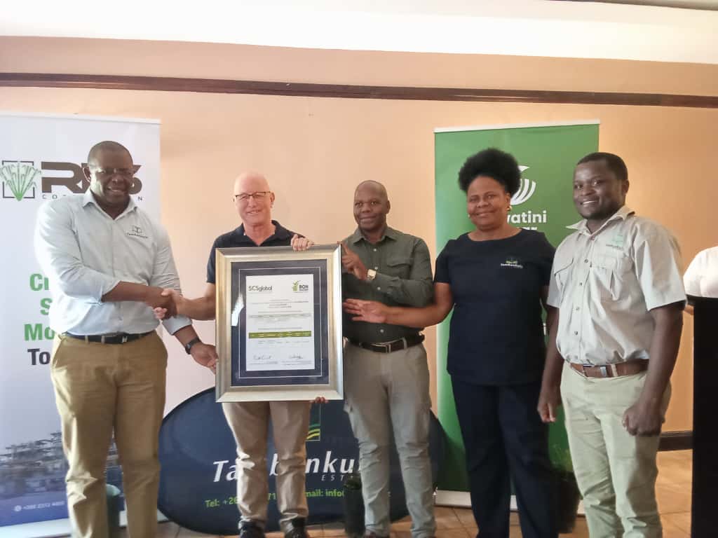 WhatsApp Image 2025-10-23 at 15.17.11