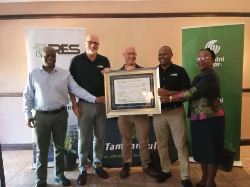 WhatsApp Image 2025-10-23 at 15.17.13