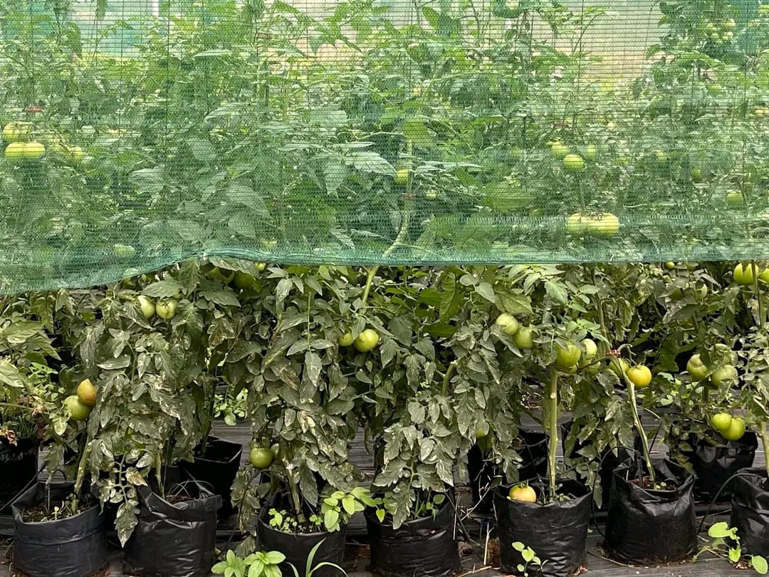 WhatsApp Image 2025-10-30 at 13.57.31