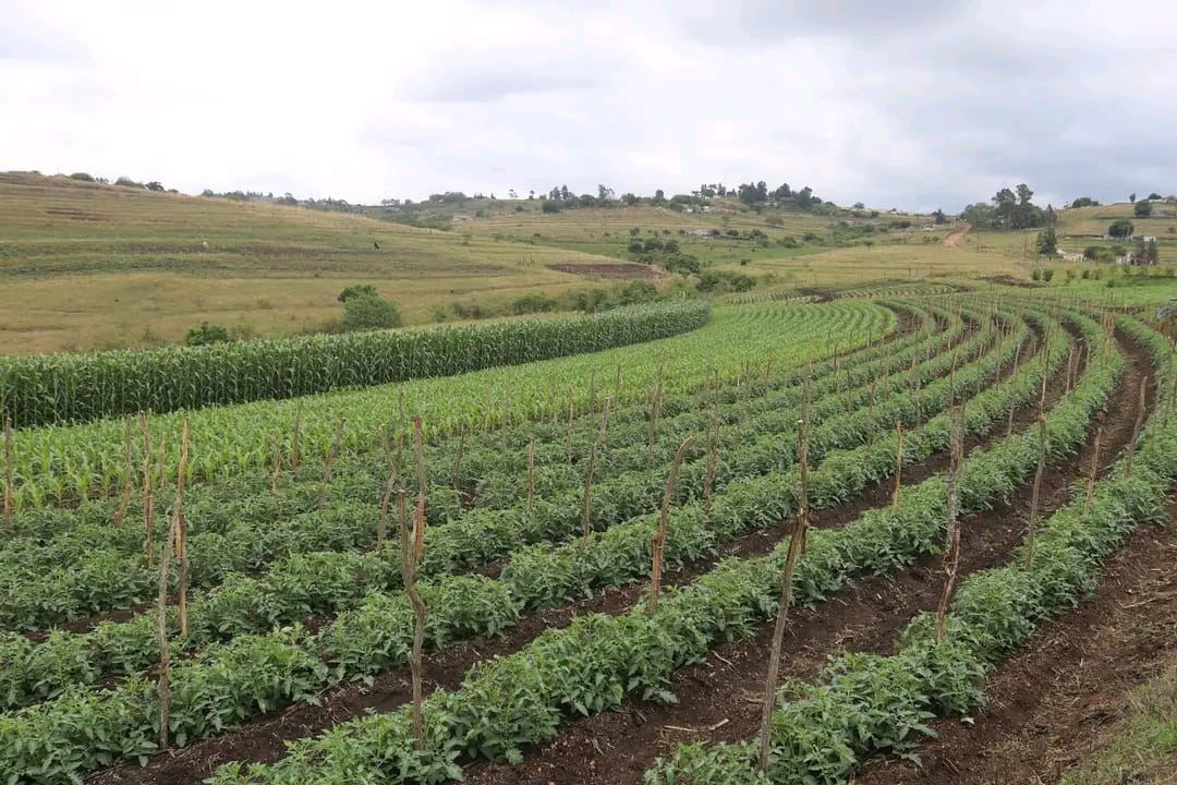 WhatsApp Image 2025-10-30 at 13.57.32 (1)