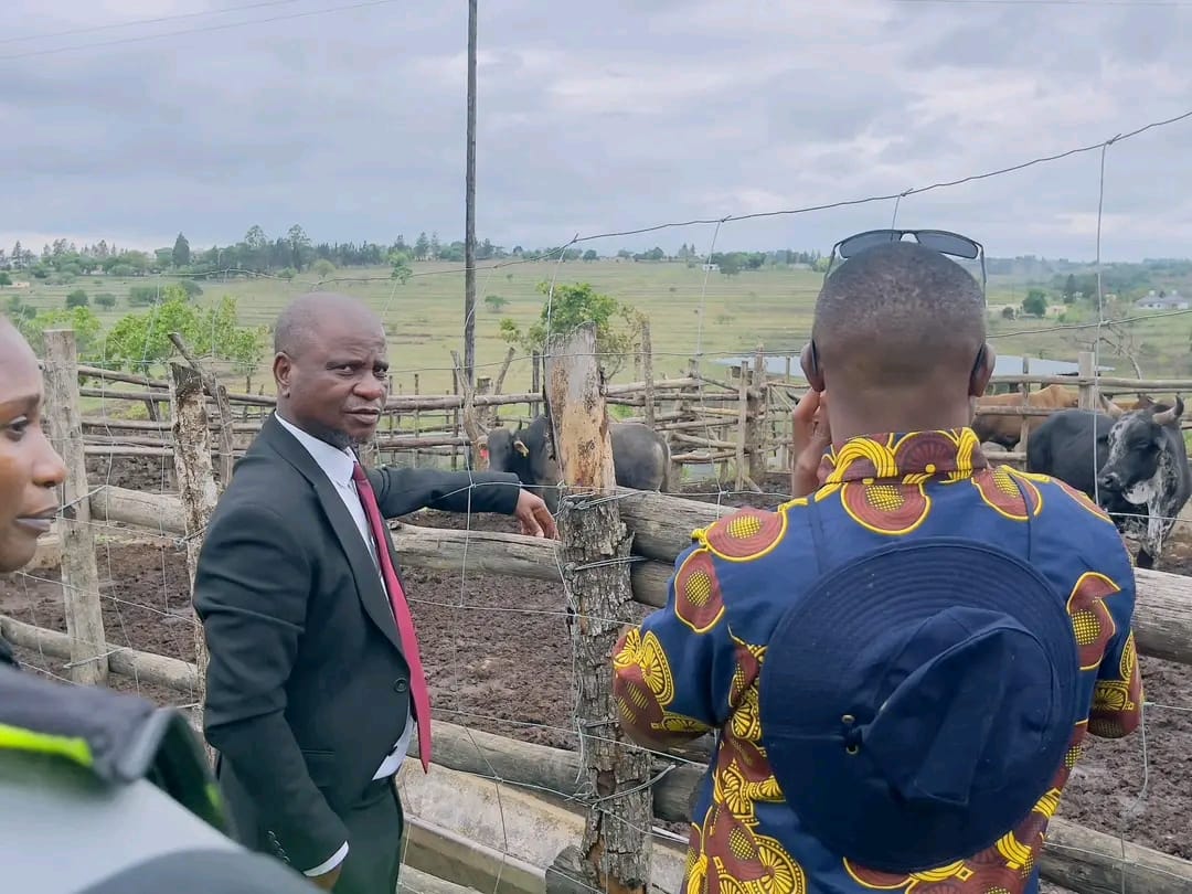 WhatsApp Image 2025-10-30 at 13.57.34 (1)