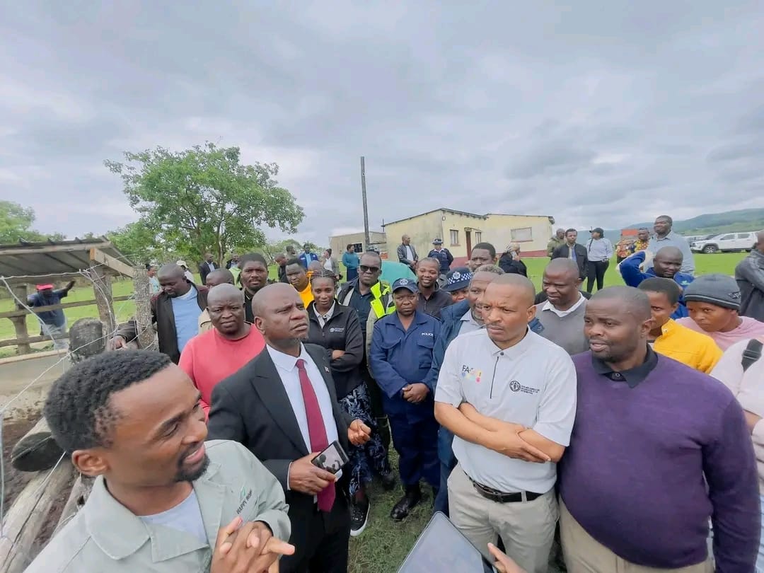 WhatsApp Image 2025-10-30 at 13.57.34