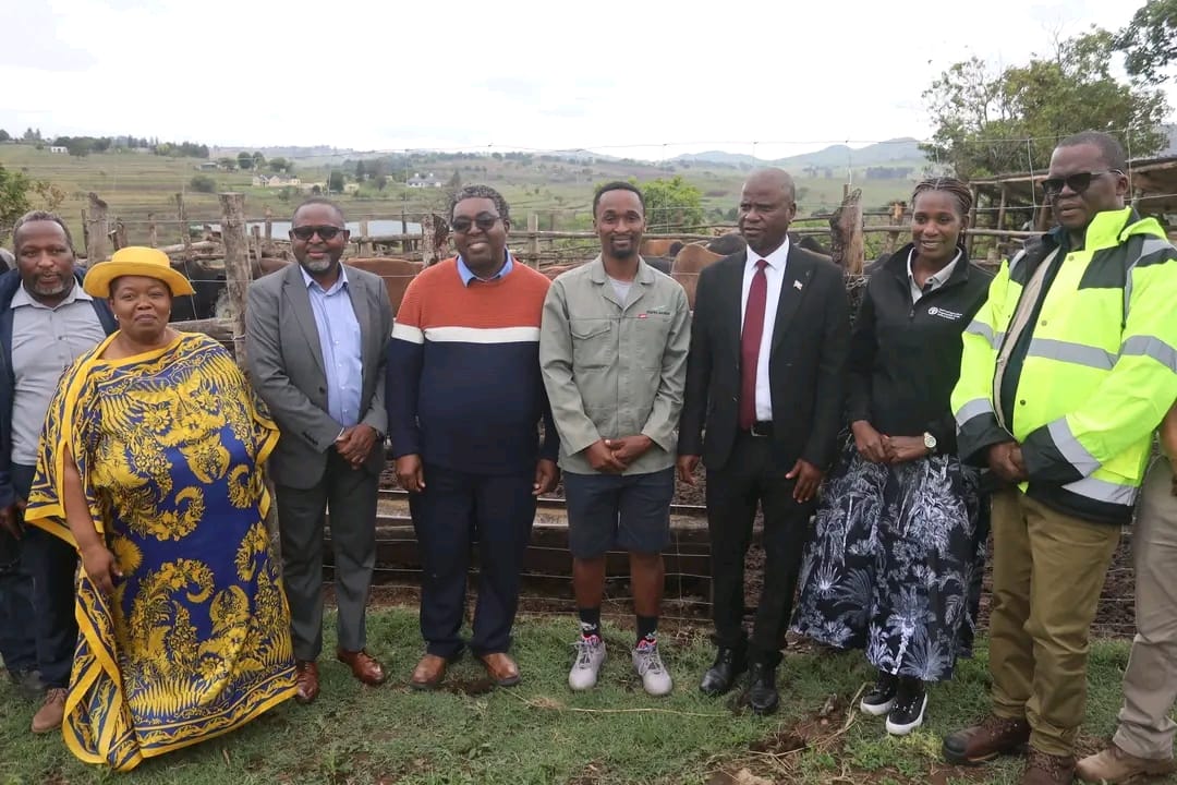 WhatsApp Image 2025-10-30 at 13.57.35