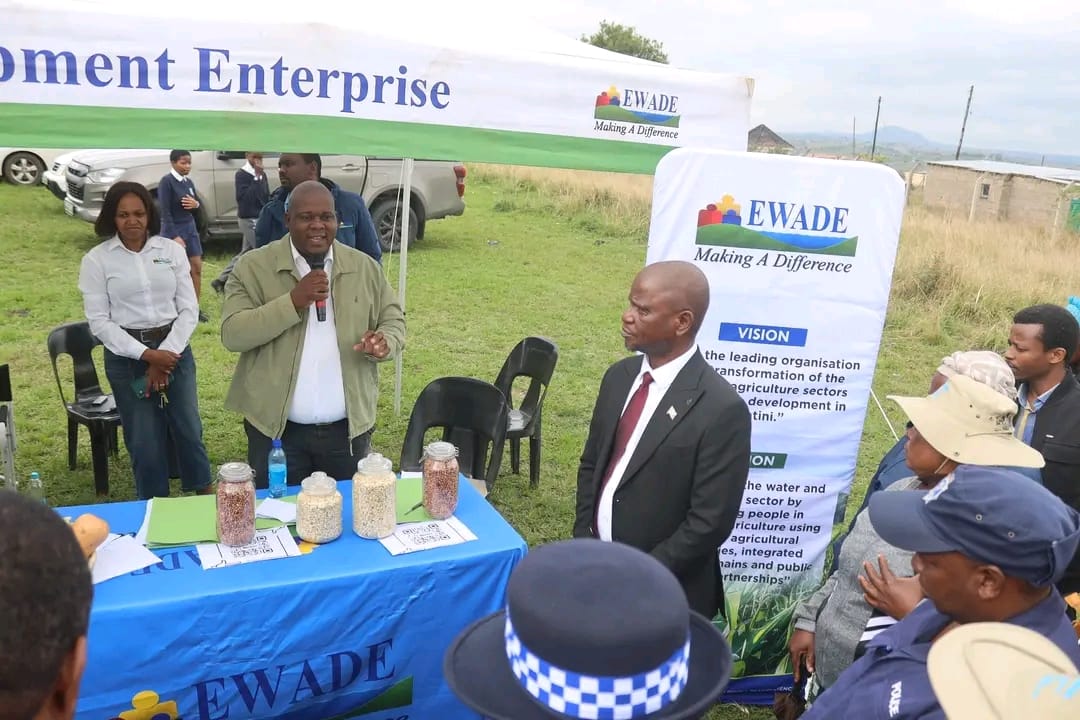 WhatsApp Image 2025-10-30 at 13.57.36