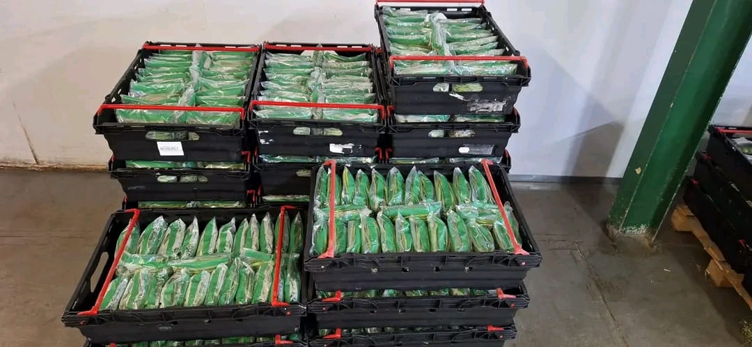 IMG-20251107-WA0166 IMG-20251107-WA0166