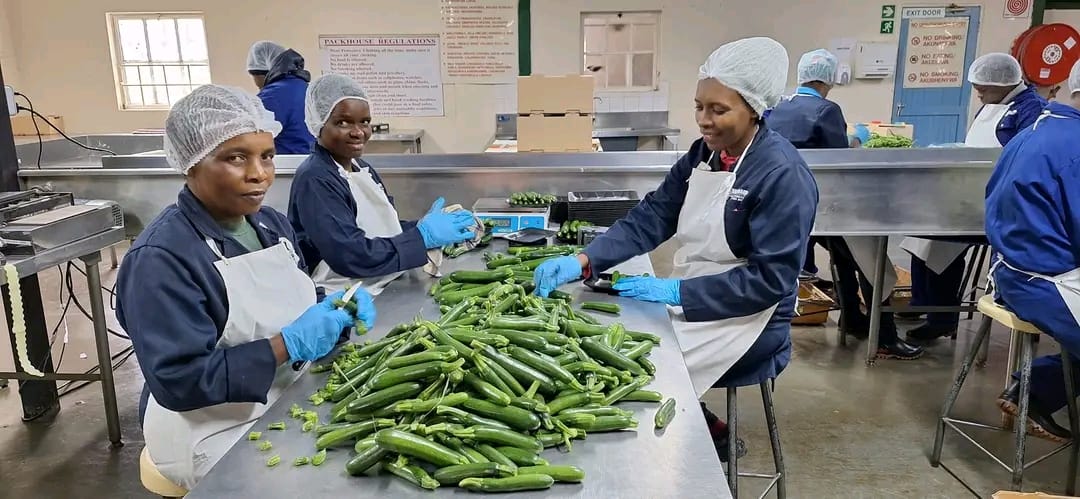 IMG-20251107-WA0169 IMG-20251107-WA0169