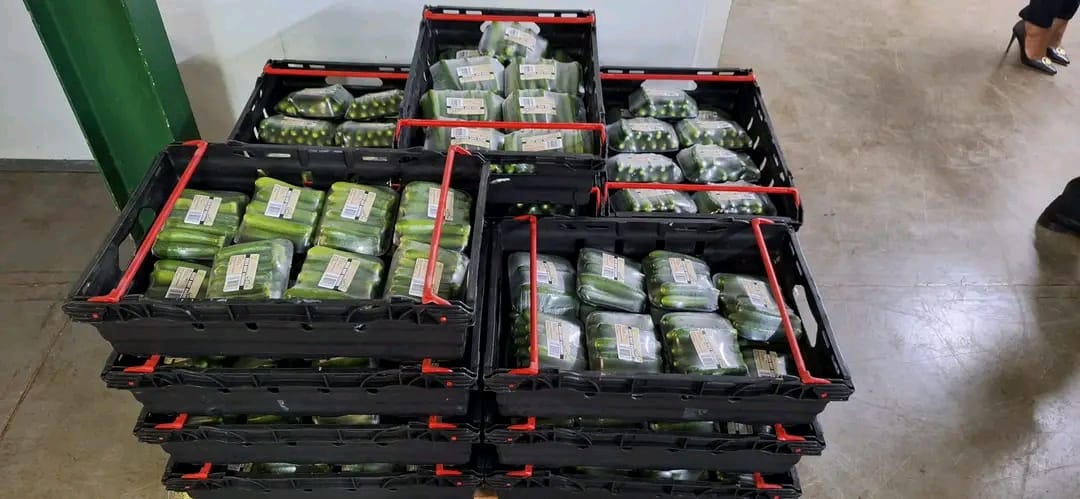 IMG-20251107-WA0170 IMG-20251107-WA0170