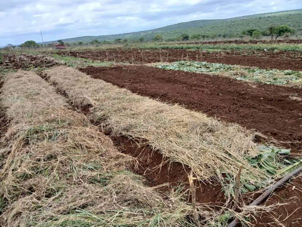 IMG-20251117-WA0011 IMG-20251117-WA0011