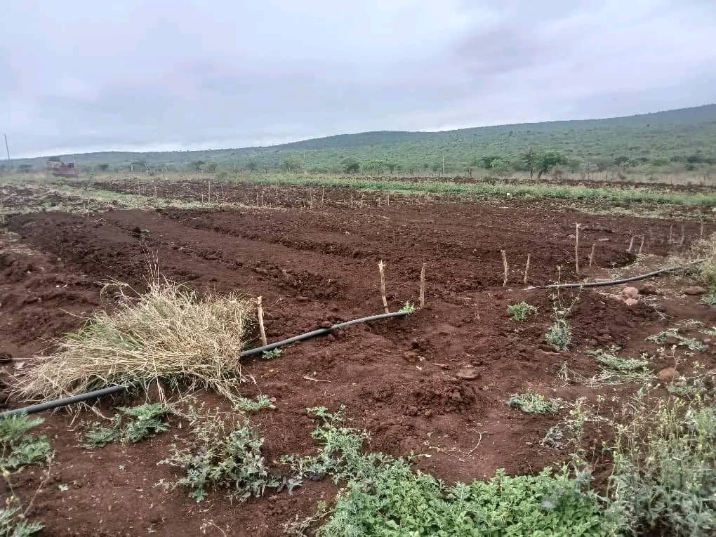 IMG-20251117-WA0012 IMG-20251117-WA0012