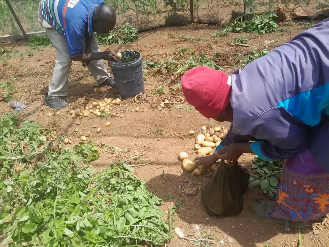 IMG-20251117-WA0014 IMG-20251117-WA0014