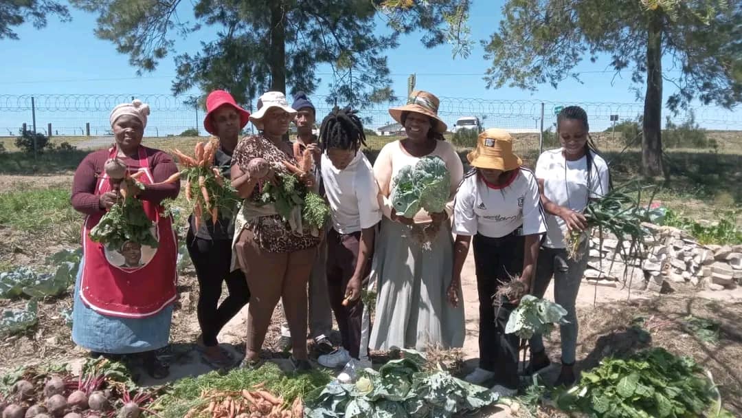 IMG-20251117-WA0015 IMG-20251117-WA0015