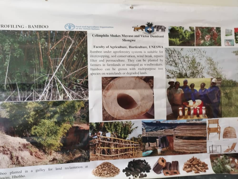 IMG-20251122-WA0052 IMG-20251122-WA0052