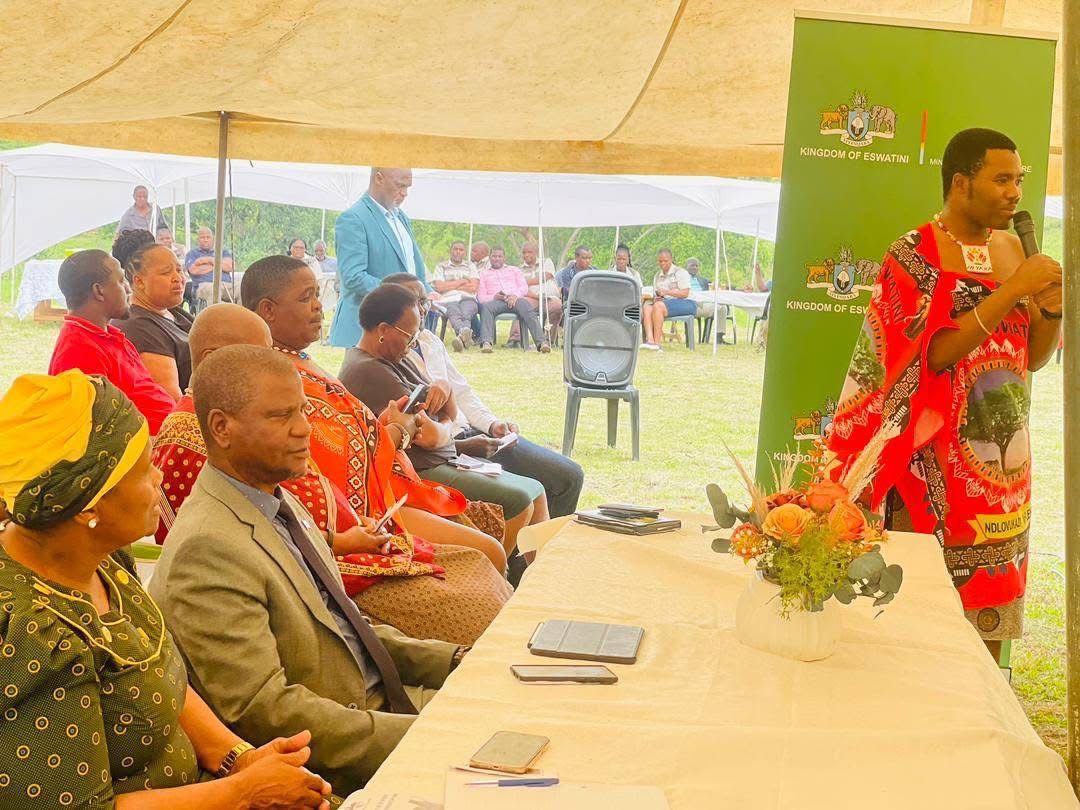 Mphemekati Diptank Image 2025-11-14 at 13.44.22