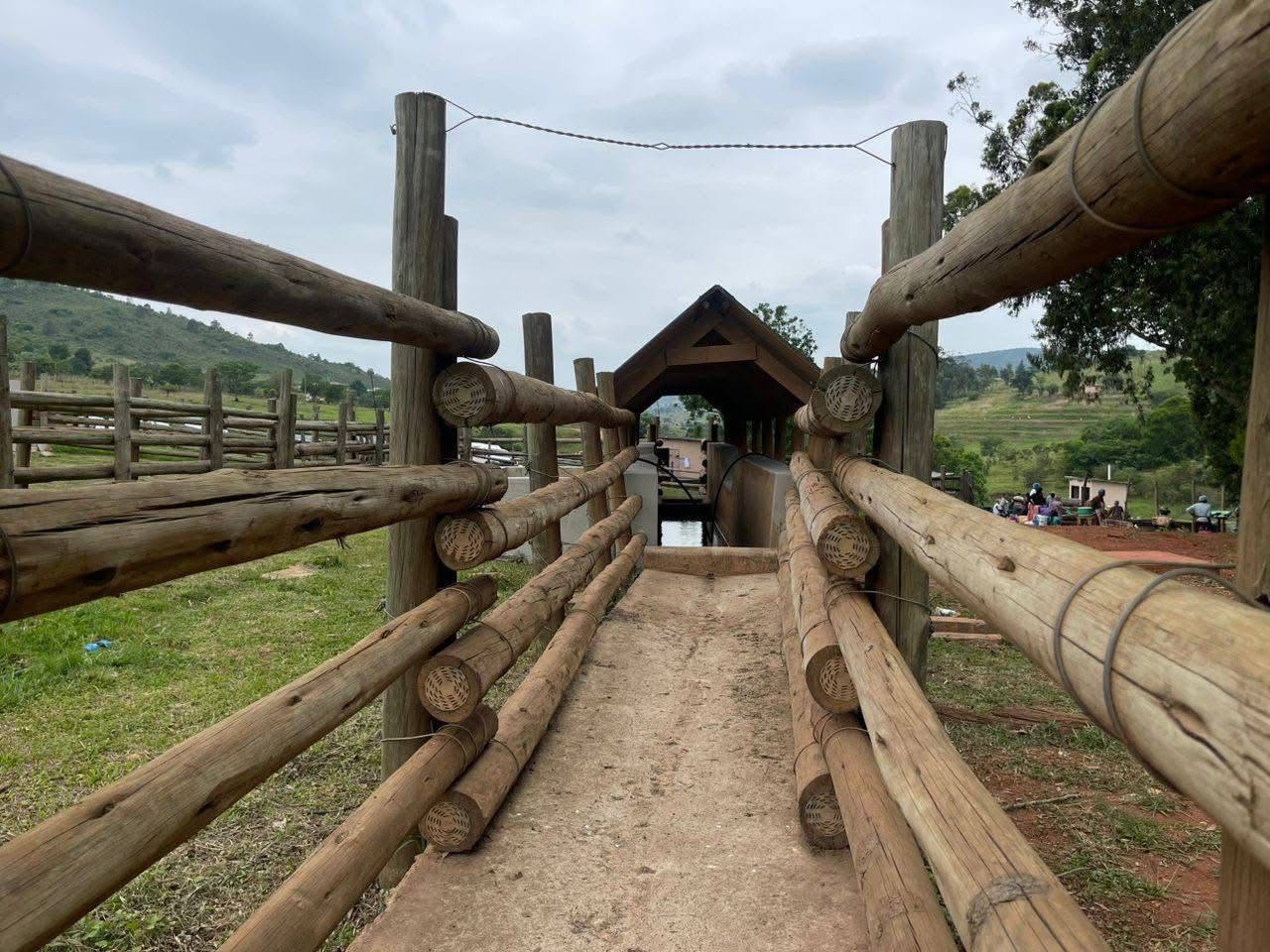 Mphemekati Diptank Image 2025-11-14 at 13.44.24