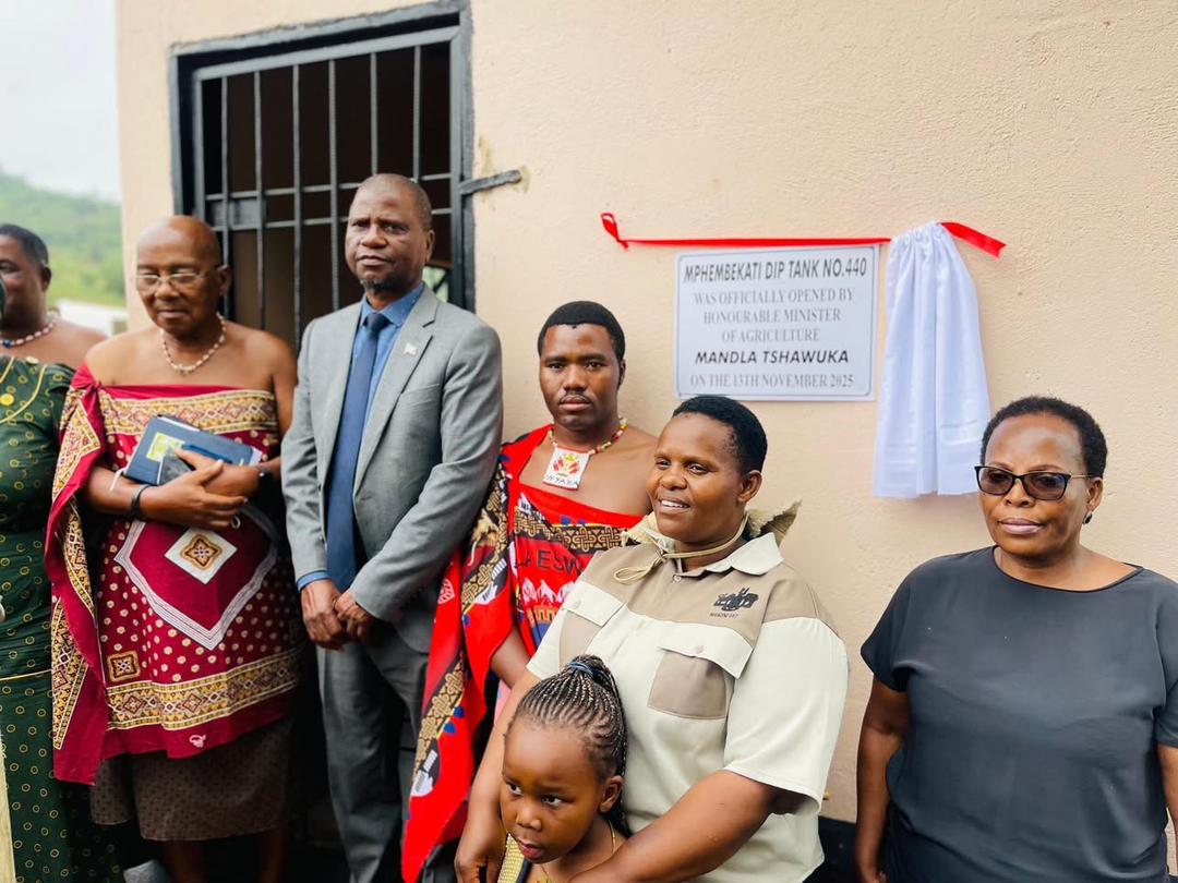 Mphemekati Diptank Image 2025-11-14 at 13.44.35 (2)