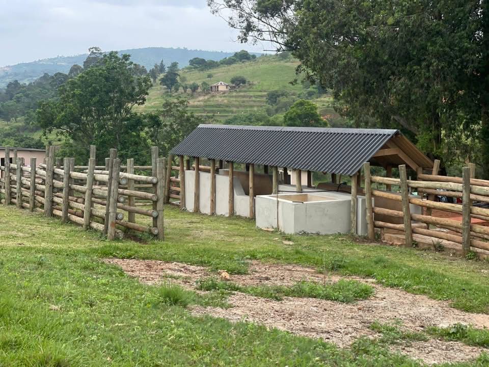 Mphemekati Diptank Image 2025-11-14 at 13.44.37 (1)