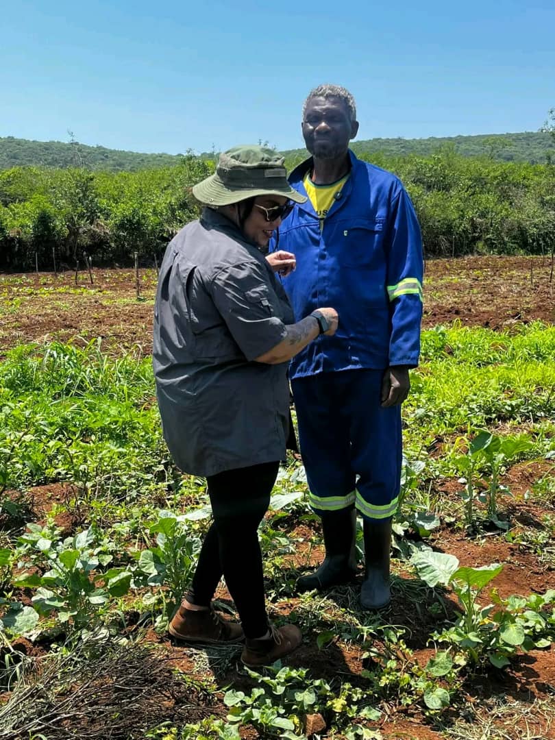 WhatsApp Image 2025-11-18 at 08.35.16_bdf24f6b