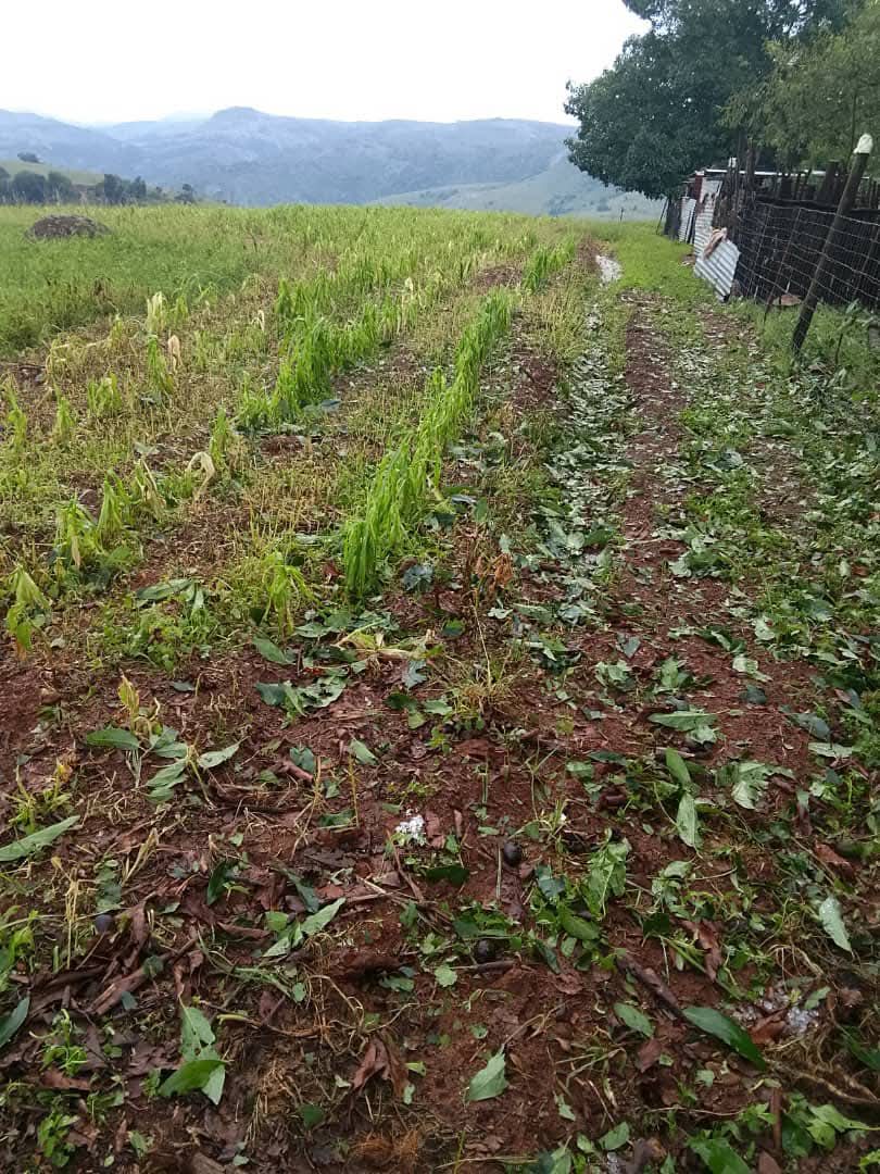 FB_IMG_1766902518269 FB_IMG_1766902518269