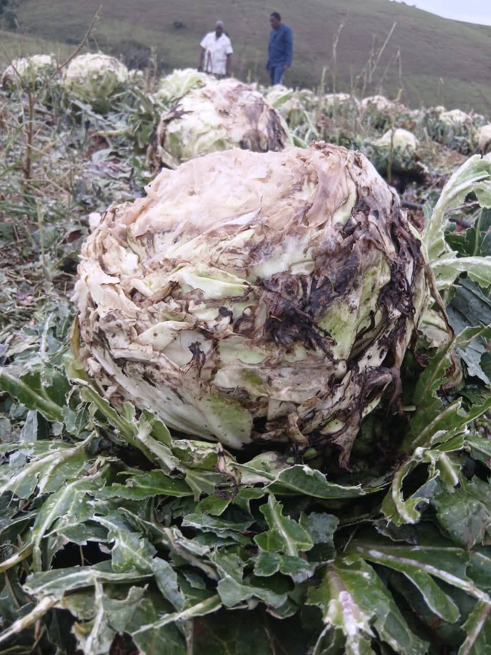 FB_IMG_1766906638346 FB_IMG_1766906638346