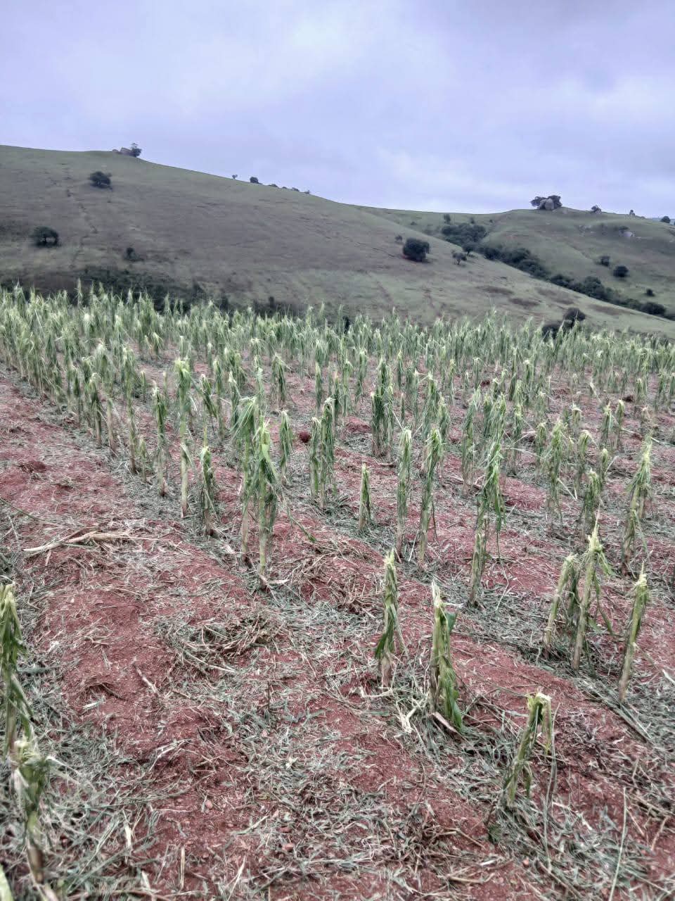 FB_IMG_1766906640967 FB_IMG_1766906640967