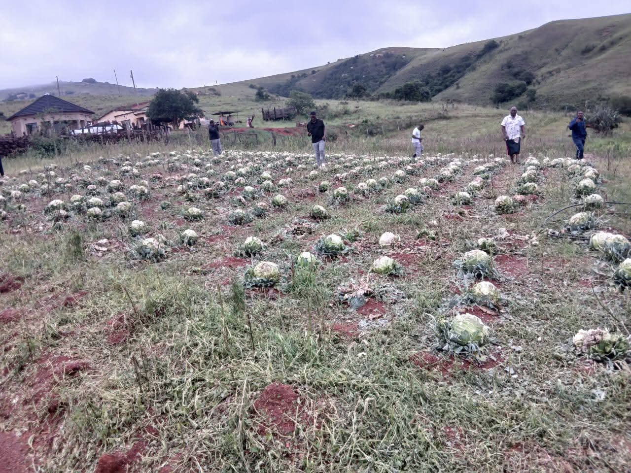 FB_IMG_1766906643704 FB_IMG_1766906643704