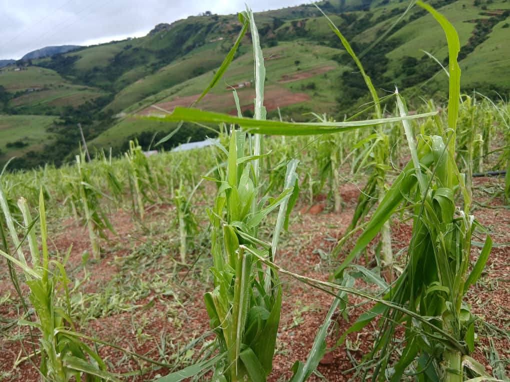 FB_IMG_1766906645412 FB_IMG_1766906645412