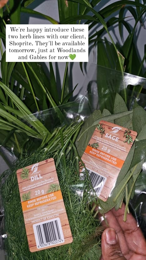 IMG-20251227-WA0016 IMG-20251227-WA0016