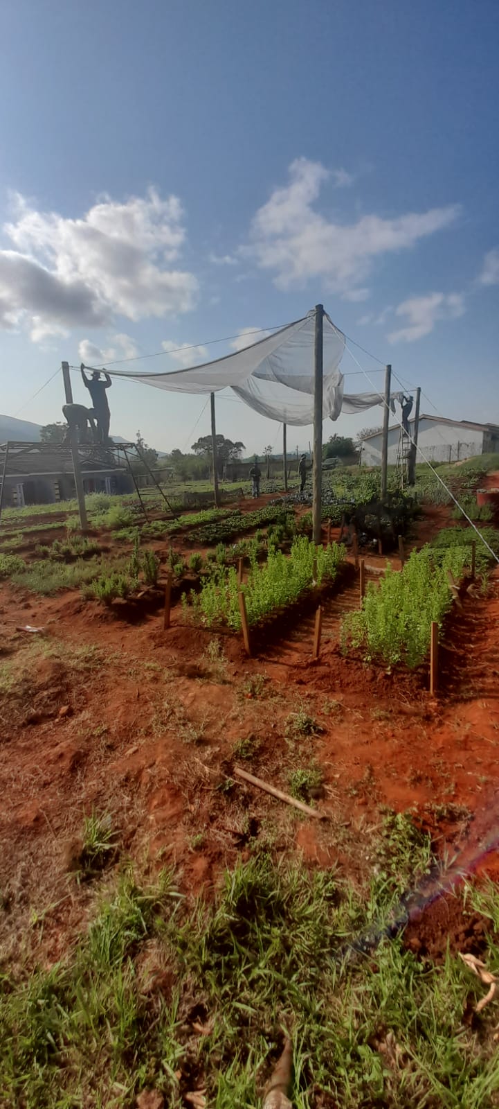 IMG-20251227-WA0018 IMG-20251227-WA0018