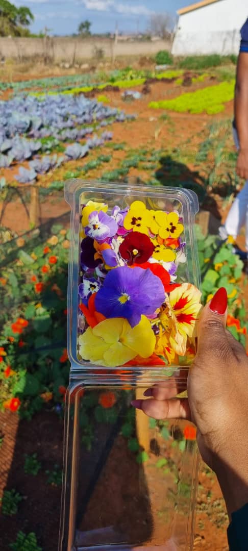 IMG-20251227-WA0020 IMG-20251227-WA0020