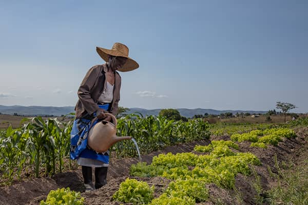 WhatsApp Image 2025-12-15 at 17.24.58_87c893de