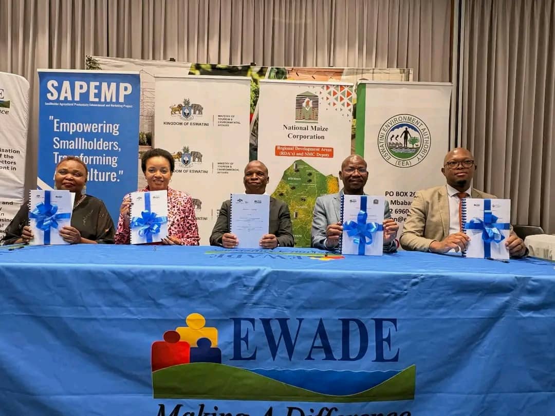 WhatsApp Image 2025-12-16 at 15.05.08_5c204462