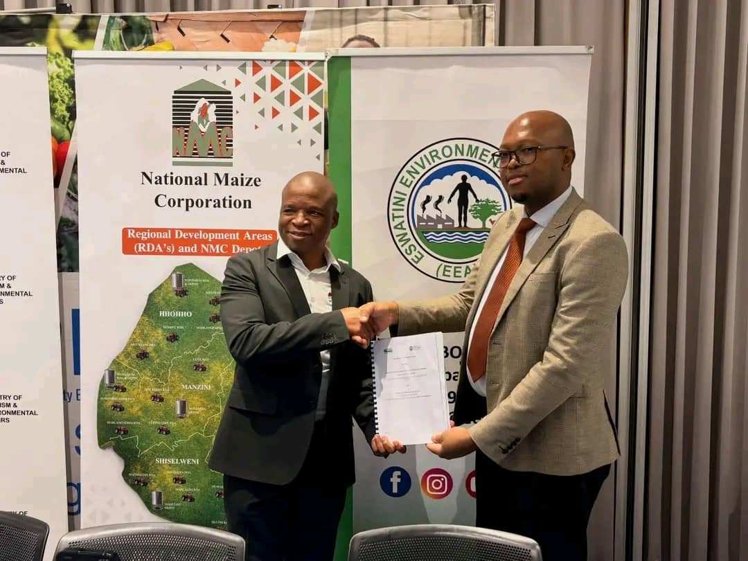 WhatsApp Image 2025-12-16 at 15.05.08_d8f4cece