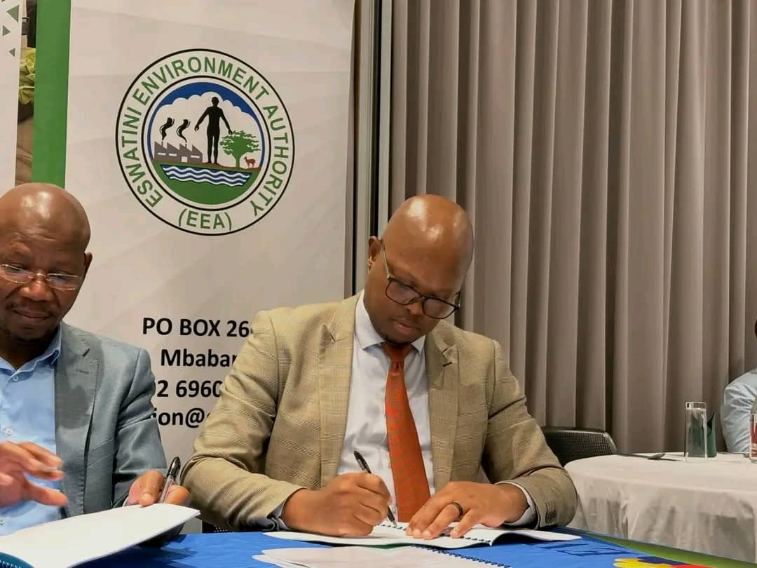 WhatsApp Image 2025-12-16 at 15.05.09_21fa344d